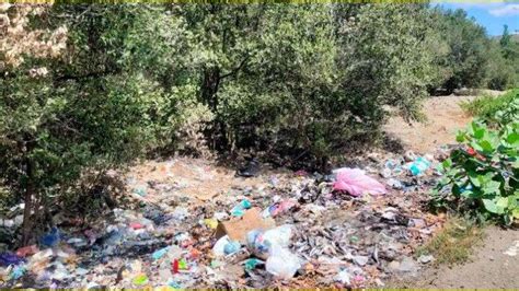 Bertahun Tahun Sampah Berserakan Di Hutan Mangrove Boalemo Gorontalo