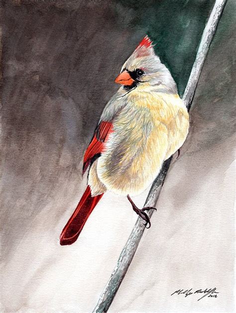 Female Cardinal painting 8x10 watercolor | Etsy