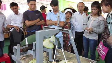 Coconut Trimming Machine Automatic Coconut Peelling Machine Coconut