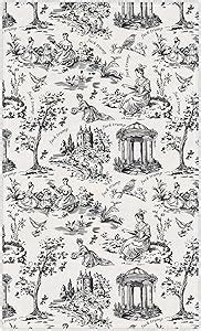 Amazon QUEENTY Subtle FDT Fuck Trump Toile Hand Towel Democrat