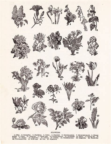 Vintage Flower Print Charming 1940s Era Dictionary Art