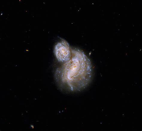 Hubble Snaps Curious Pair Of Spiral Galaxies 800 Million Light Years Away From Earth Science