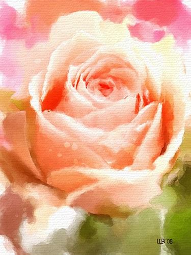 Rose 001 Digital Watercolor Vitaly Shchukin Flickr