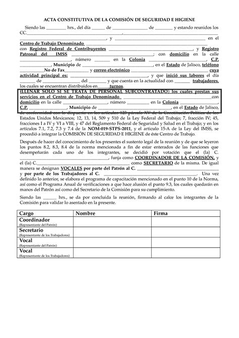 Acta Constitutiva De La Comision Mixta De Seguridad E Higiene Hot Sex