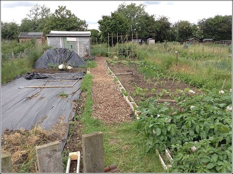 Mark S Veg Plot An Allotment Yes Or No