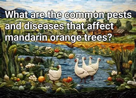 What are the common pests and diseases that affect mandarin orange ...