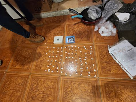 Allanamiento En R O Gallegos Secuestraron Coca Na Y Plantas De