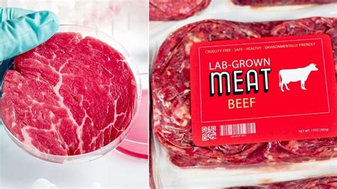 Fda Approves Lab Grown Meat For Human Consumption Percy Coleman Kabar