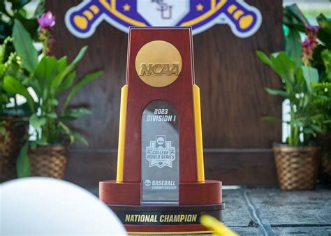 LSU Baseball: Photos from national championship celebration