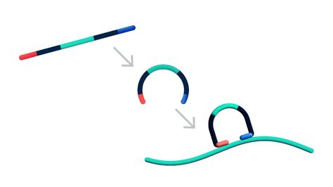 In Situ Chemistry And Transcriptomics Technology 10x Genomics