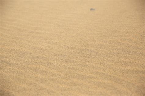 Premium Photo Fine Beach Sand In The Summer Sun Sand Texture Sandy