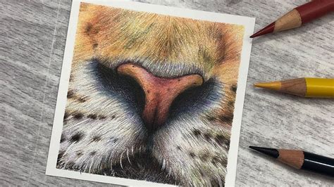 Colored Pencil Artwork Ideas, Colored Pencil Drawing, Coloured Pencils ...