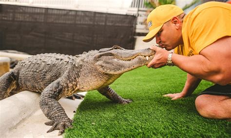 Florida Alligator Park: Join the Wild Side of Gator Park