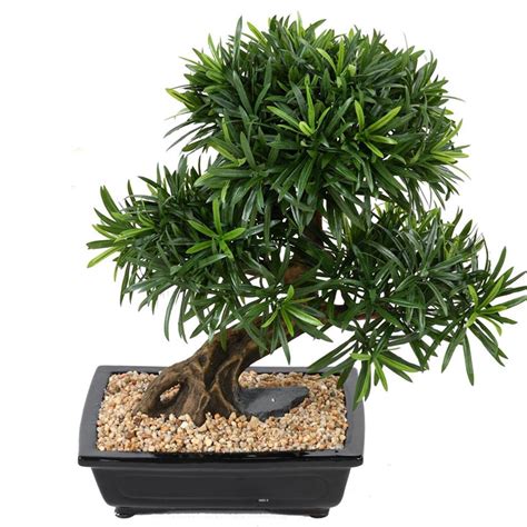 Bonsaï Podocarpus Artificiel H 50 cm D 45 cm en pot Leroy Merlin