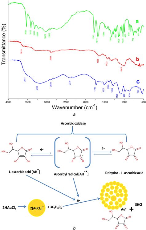 Ftir And Proposed Chemical Mechanism Involved In Nanoparticle