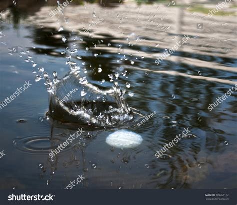 Golf Ball Water Hazard Stock Photo 109268162 | Shutterstock