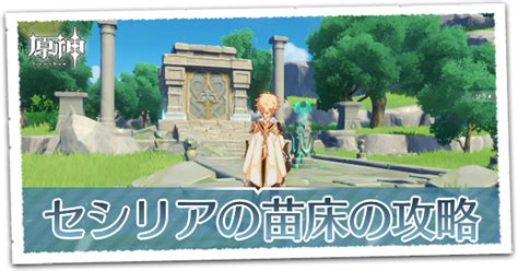 【原神】セシリアの苗床の周回おすすめキャラ｜解放条件と場所｜ゲームエイト