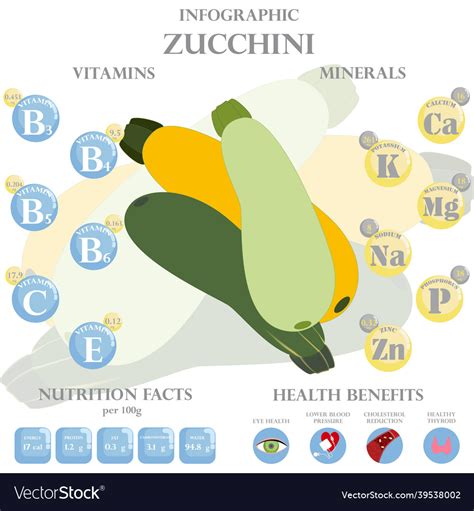 Zucchini Nutrition Facts And Health Benefits Vector Image