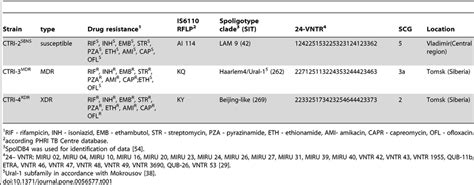 Description Of M Tuberculosis Clinical Isolates Involved In This Study