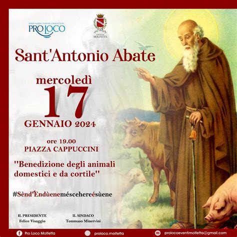 A Molfetta La Festa Di Santantonio Abate Con La Benedizione Degli