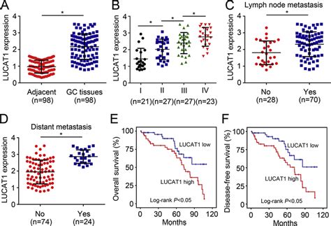 Lncrna Lucat1 Highly Expressed In Gastric Cancer The Expression Of