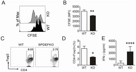 Ijms Free Full Text Goblet Cells Contribute To Ocular Surface Immune Tolerance—implications