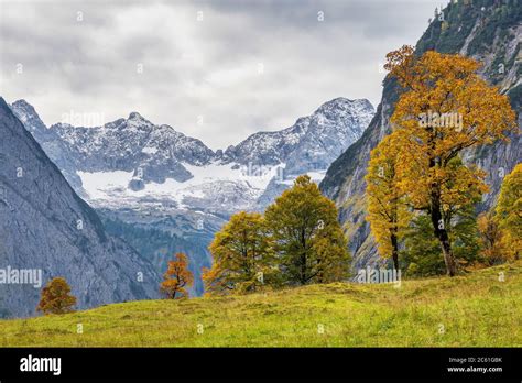 autumn view   maple trees  ahornboden karwendel mountains