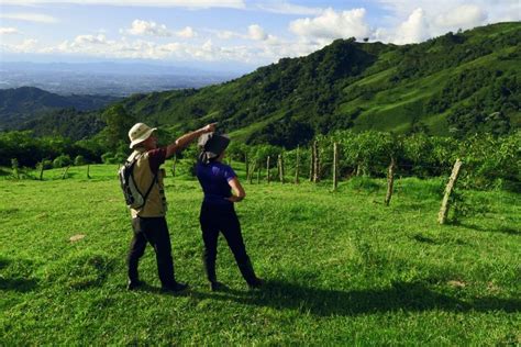 Cascadas Del R O Verde Descubriendo La Colombia M S Aut Ntica Y