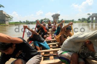 Penambang Pasir Berlatih Perahu Naga Di Sungai Serayu Datatempo