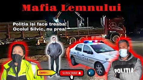 Mafia Lemnului Politia Isi Face Treaba Nu Si Ocolul Silvic Sofer