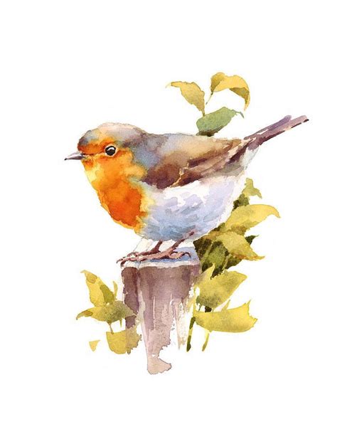 Artist Maria Stezhko Watercolor Bird Watercolor Illustration Bird