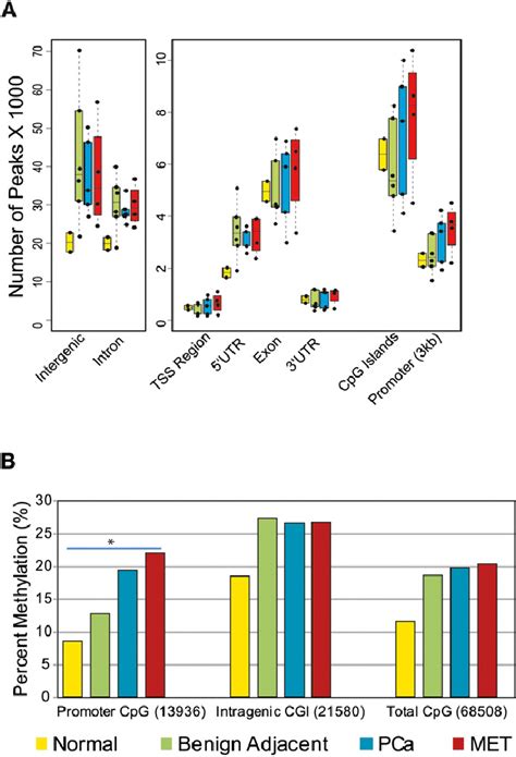 Dna Methylation Pattern In Prostate Tissues A Genomewide