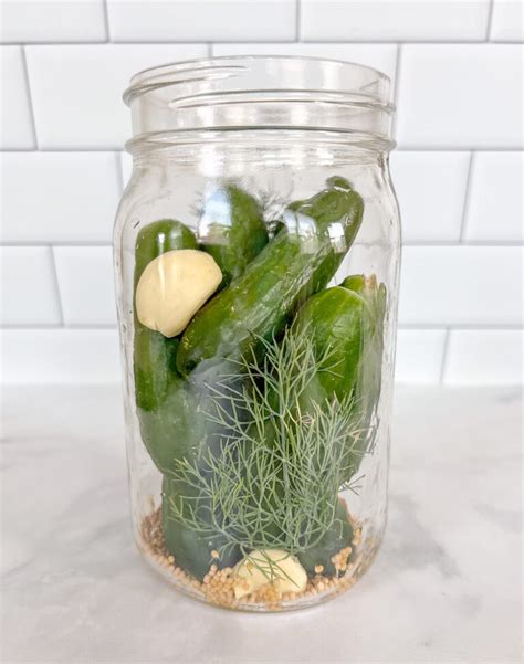 Homemade Polish Dill Pickles Recipe The Urben Life