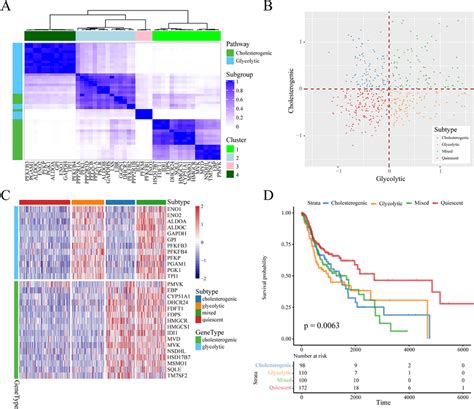 Stratification Of TCGA HNSCC Samples Based On The Expression Of