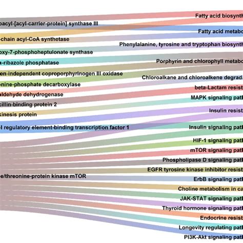 Functional Module Network Of The Differential Microbiota In Pcos