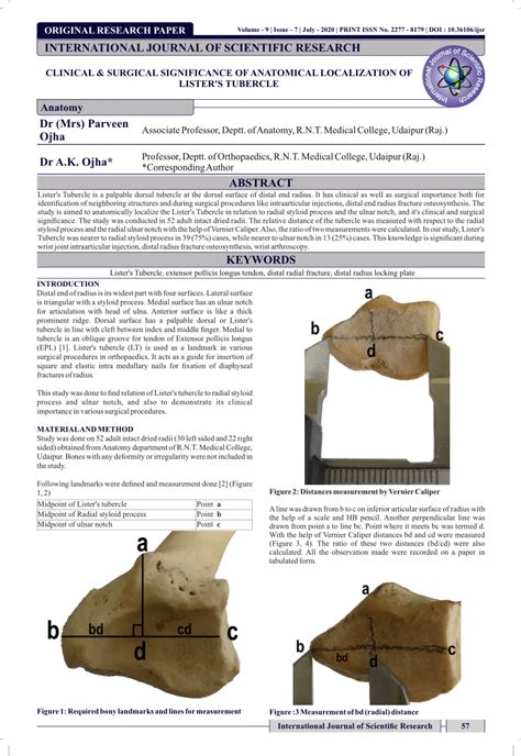 (PDF) CLINICAL & SURGICAL SIGNIFICANCE OF ANATOMICAL LOCALIZATION OF LISTER'S TUBERCLE