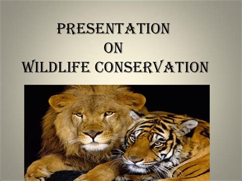 Wildlife Conservation