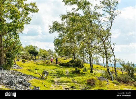 Whitbarrow Scar Hi Res Stock Photography And Images Alamy