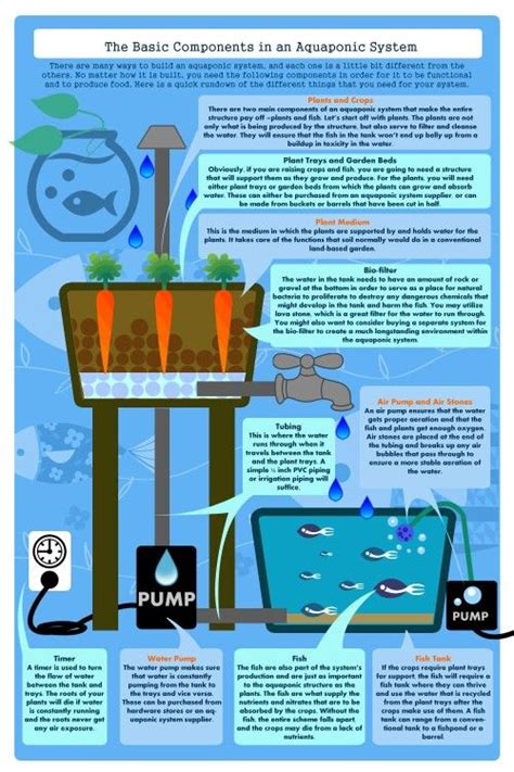 Aquaponics Infographic Aquaponics Aquaponics System Hydroponics