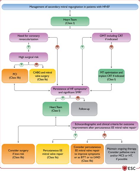 2021 Esc Guidelines For The Diagnosis And Treatment Of Acute And