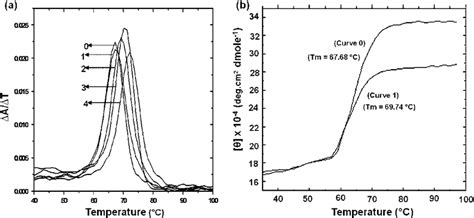 A First Derivative Profiles Of Dna Melting Curves Of 15 Mm 21ry Download Scientific Diagram