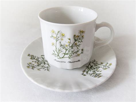 Seltmann Weiden Bavaria Renate Flora Porcelain Teacups And Etsy