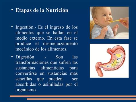 Nutrición Y Metabolismo Ppt