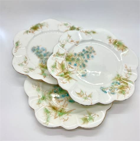 Antique Foley China Plate 3 Foley China England Antique Plates