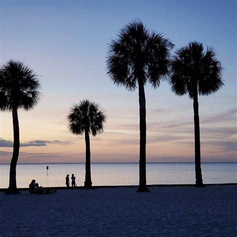 Pine Island Beach | Island beach, Florida adventures, Pine island