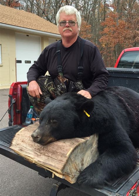 Record Number of Black Bears Harvested During 2015 Maryland Hunt