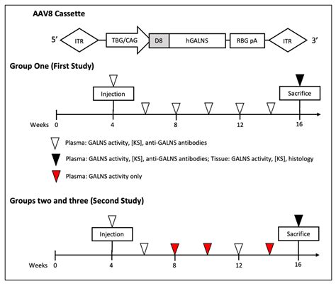 Ijms Free Full Text Sex Difference Leads To Differential Gene