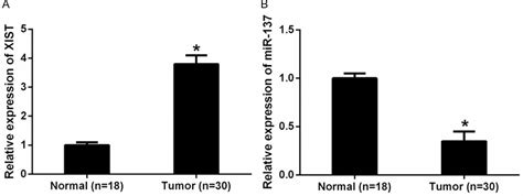 Figure 1 From Long Non Coding Rna Xist Exerts Oncogenic Functions In