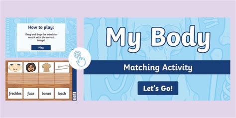 My Body Interactive Matching Activity Twinkl