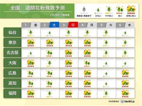 都内でスギ花粉の最盛期に突入 雨上がりで3月スタート 花粉の大量飛散続く（2024年2月29日）｜biglobeニュース